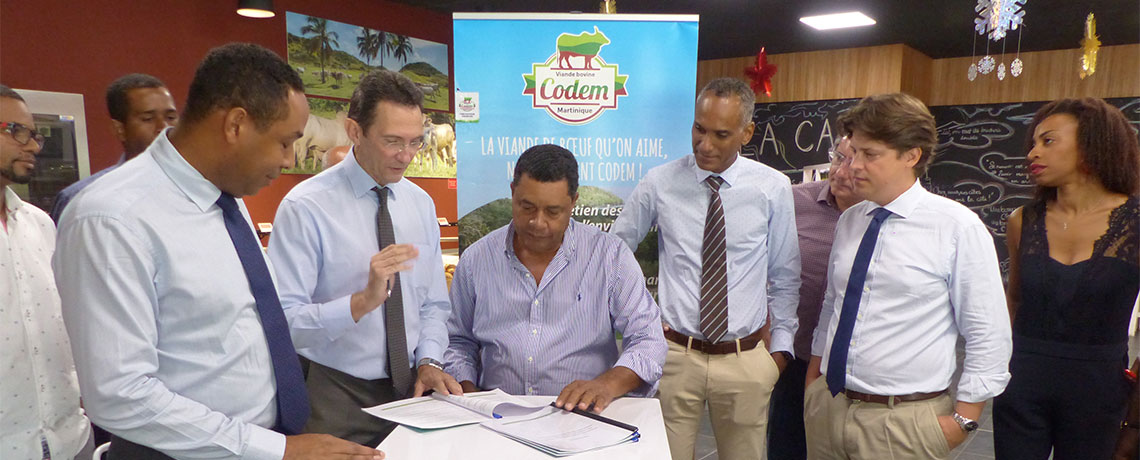 GBH and Martinique cooperative sign "Envi pays" charter to promote local beef