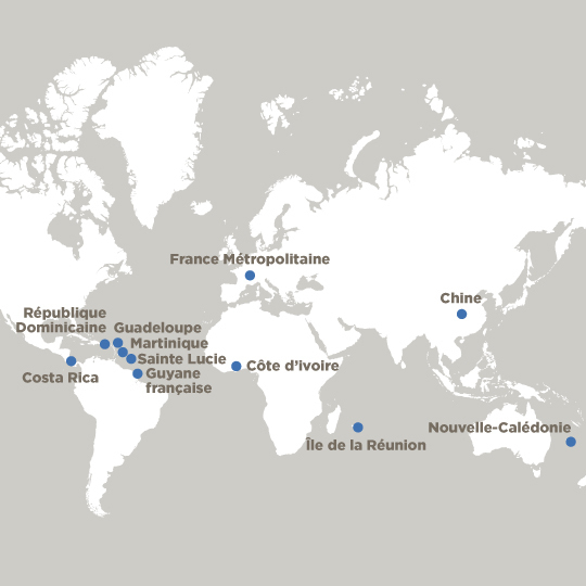 Carte du monde des Activités 2021 Bleu FR