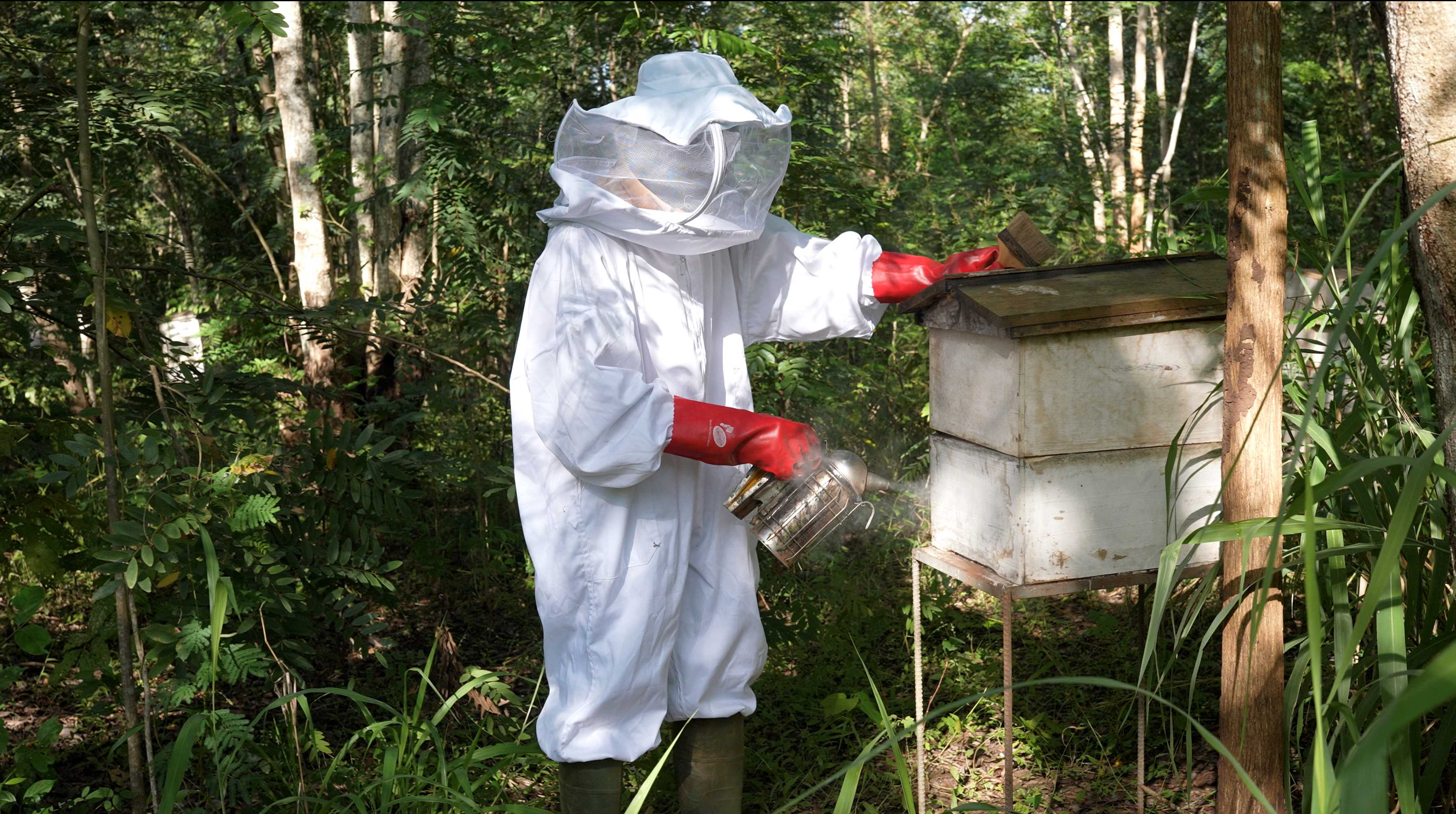 GBH engagé pour le développement durable